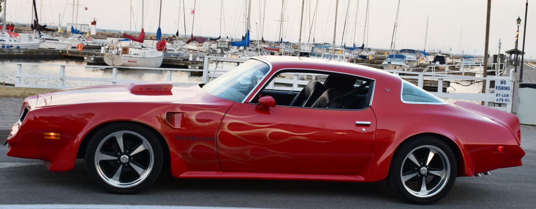 DSC_06491 DSC_06491